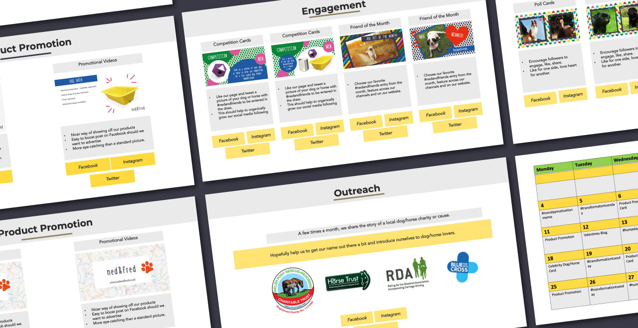 Ned &Amp; Fred ≪Br≫Social Content 6 Engaging content for social media
