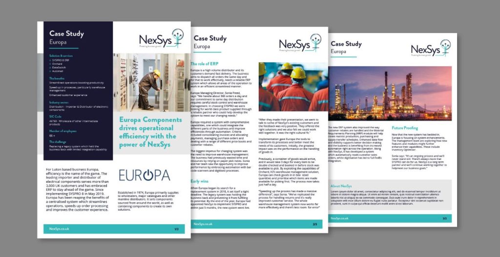 Nexsys ≪Br≫Branding 12 Nexsys - case study